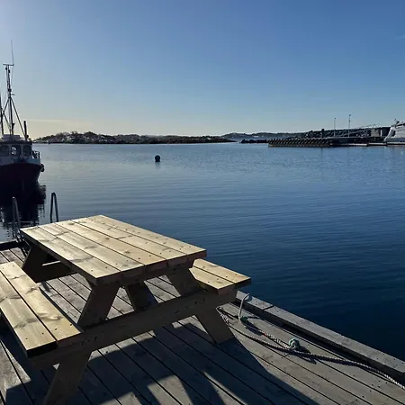 Ny Rorbu Med Fantastisk Havutsikt - Rett Ved Vannet - Inntil 6 Personer Bronnoysund